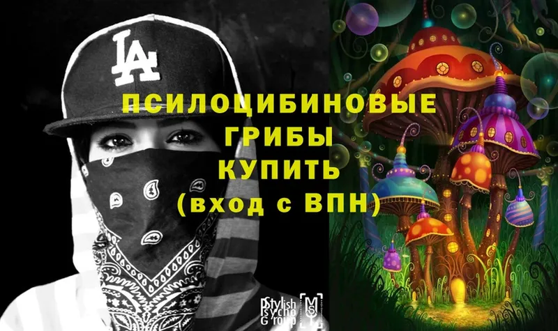 Галлюциногенные грибы MAGIC MUSHROOMS  где можно купить   Давлеканово 